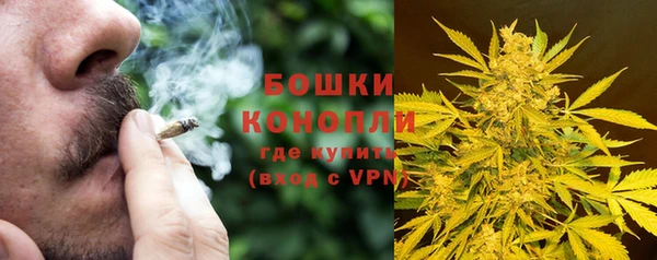 шишки Нижневартовск